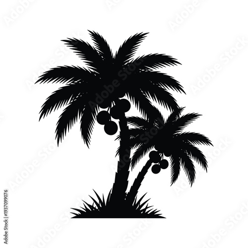 Coconut Palms Tropical Landscape Commercial