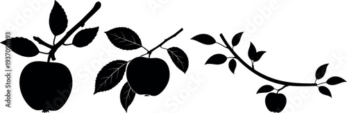 Apple branch silhouette set for orchard and fresh fruit branding