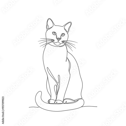 Minimalist line art of a sitting cat in a serene pose on white background