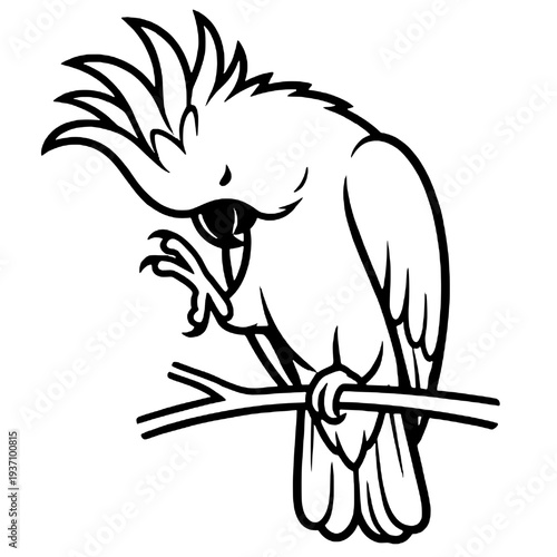 Beautiful macaw bird silhouette