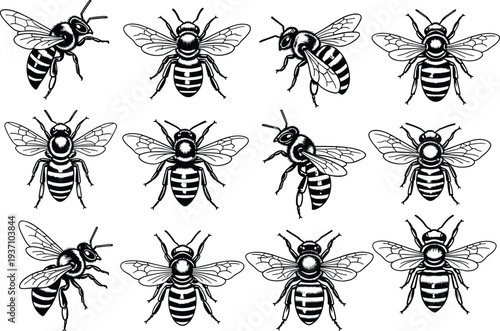 Detailed collection of fifteen black and white honey bee icons in various flying poses, ideal for nature-themed logos, organic branding, and vintage entomology illustrations.