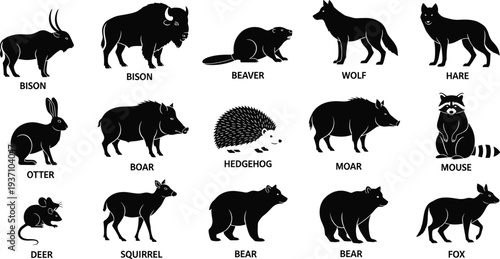 Diverse black forest animal silhouette collection featuring bison bear wolf and fox for wildlife education nature logos hunting graphics and woodland creature vector designs.