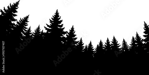 vector silhouette of dark forest tree tops
