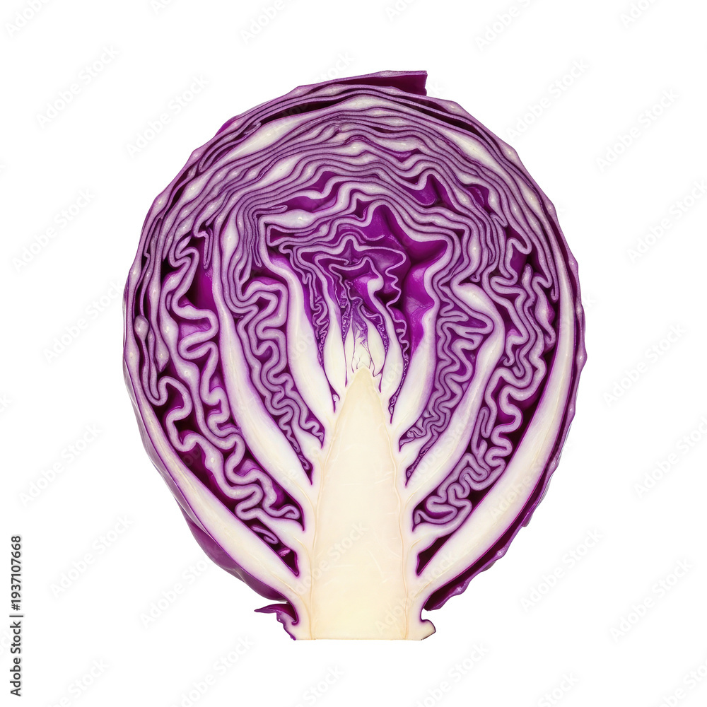 Obraz premium Cross section of vibrant red cabbage showing intricate layered purple and white patterns isolated on a transparent background