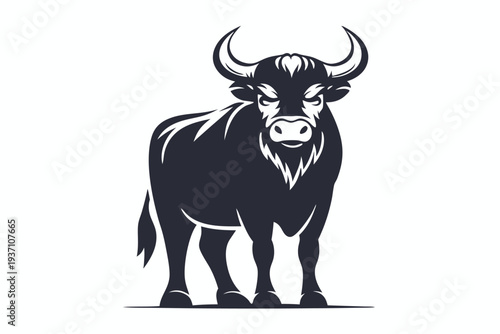 Muscular black bull charges forward with force showing detailed muscles on a white backdrop