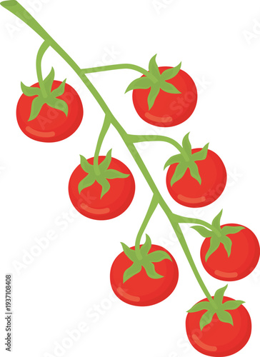 Cherry tomato branch isolated on white background. Illustration of fresh ripe red vegetables