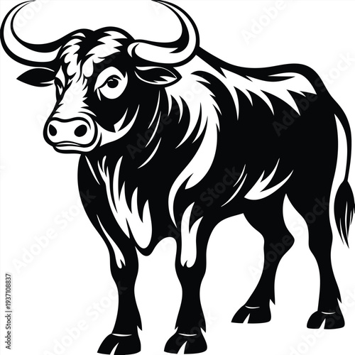 Strong bull with large horns stands firmly on a white background in silhouette