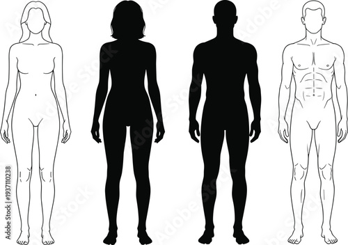 Male and Female Human Body Silhouettes and Anatomy Outline Set Front View Medical Figure Vector Illustration
