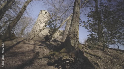 The Sentinel of the Silent Woods