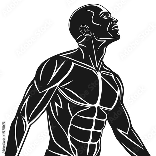 Muscular Male Torso Silhouette Vector with Defined Abs and Chest for Fitness Branding