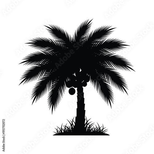Palm Tree Coconuts Tropical Silhouette Commerce