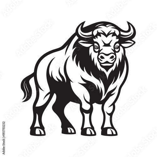 Powerful black bull stands boldly, showcasing its large horns and strong physique