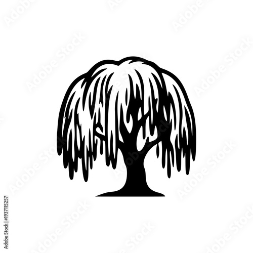 Weeping Willow Tree Silhouette Vector