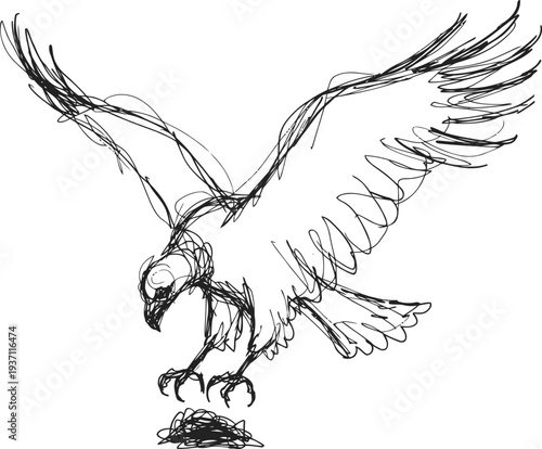 Sketch of a bird of prey swooping down with outstretched wings and extended talons