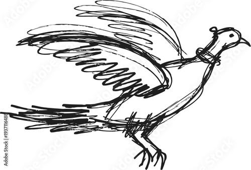 flying bird sketch with outstretched wings and detailed feathers in black ink drawing