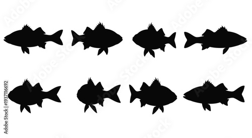 Silhouette collection of various freshwater fish species in a row