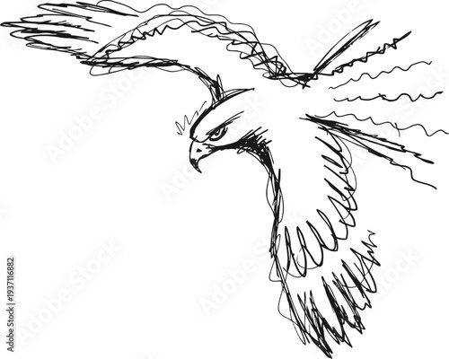 sketch of a powerful eagle with spread wings, dynamic lines, and fierce expression in flight