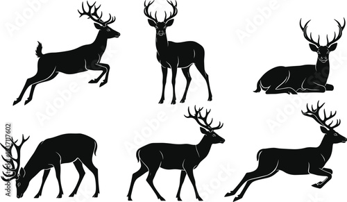 Wild deer and buck silhouettes in various poses including running jumping and grazing for nature wildlife and hunting concepts