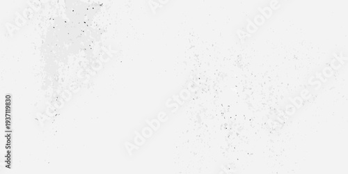 Abstract white texture with scattered dark speckles and grainy details