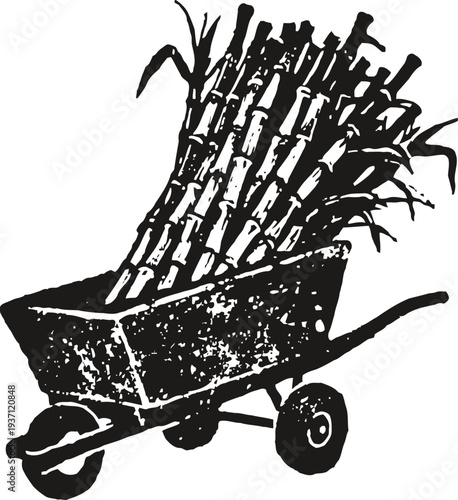 Wheelbarrow full of harvested sugarcane stalks in vintage rustic illustration