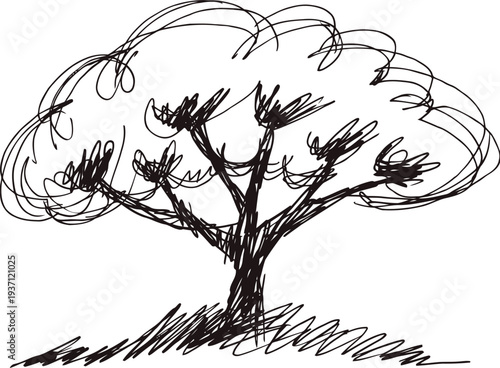 hand drawn tree with thick foliage and detailed trunk sketch on white background