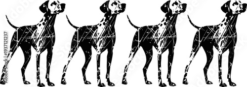 four black and white spotted dogs standing side by side in a vintage distressed