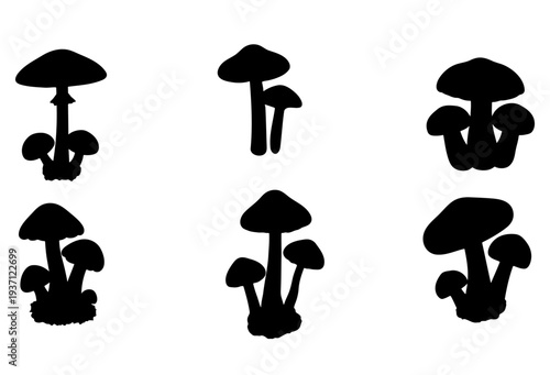 Mushroom silhouettes set, wild forest fungi icon collection