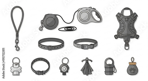 Collection of various pet accessories and collars on white background