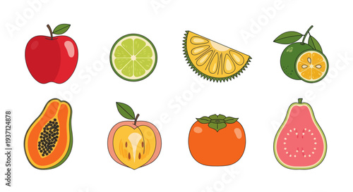 Assorted colorful fresh fruit illustrations