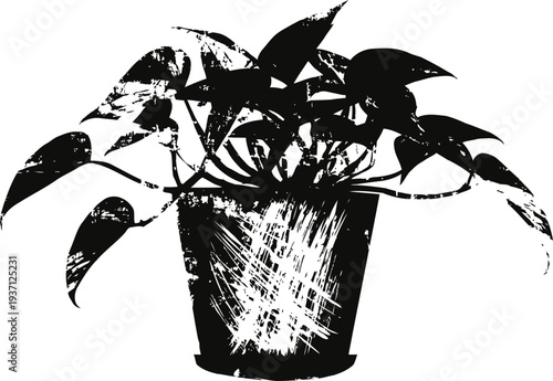 potted plant silhouette with broad leaves in a scratched textured container