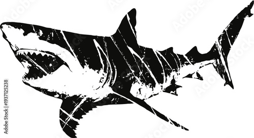 Aggressive great white shark silhouette with open jaws and sharp teeth swimming in ocean
