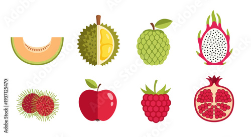 Assorted tropical fruit collection illustration
