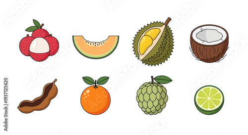 Assorted tropical fruits illustration