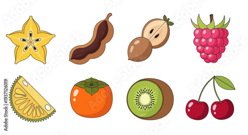 Assortment of colorful fruit illustrations
