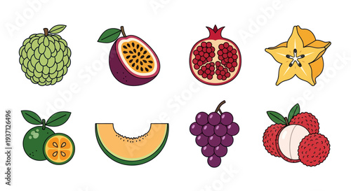 Assortment of fresh tropical fruits illustration