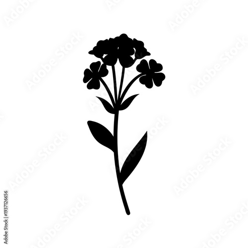 Elegant black silhouette of a flowering plant on a white background