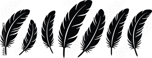 Collection of seven black feather silhouettes arranged in a horizontal line, showcasing diverse shapes, sizes, and symmetry for design, illustration, and educational use