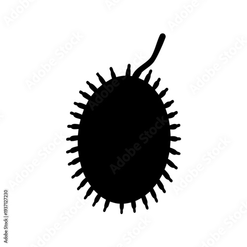 Black silhouette of a bacterium, possibly e coli, with flagellum