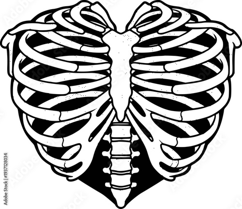 Black and white human rib cage shaped like a heart ribcage skeleton