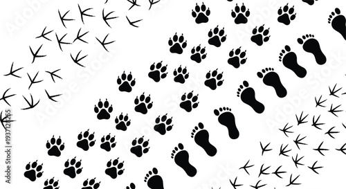 Animal and bird footprint silhouettes collection, paw prints human footprints and bird tracks set, wildlife trail signs, nature tracking vector icons