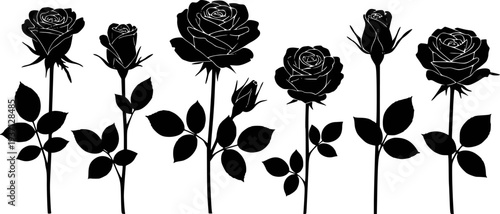 Black silhouette of various roses and buds with leaves white background flower