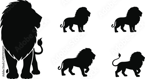 Lion silhouette collection, wild animal king vector set, African lion standing poses, big cat wildlife illustration isolated, predator animal black silhouettes