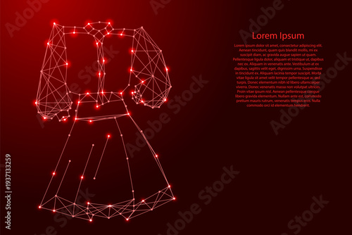 womens dress with sleeves from futuristic polygonal red lines and glowing stars for banner, poster, greeting card