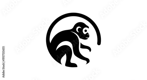 Photography Stylized monkey icon on white background