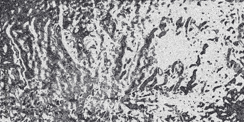 Abstract grayscale background with flowing organic shapes and dark, textured streaks creating a dynamic and visually engaging textured surface