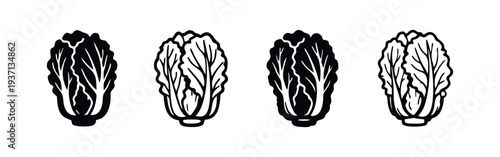 Fresh Chinese Cabbage Icons. Vector collection of napa cabbage illustrations, perfect for food and healthy lifestyle designs.
