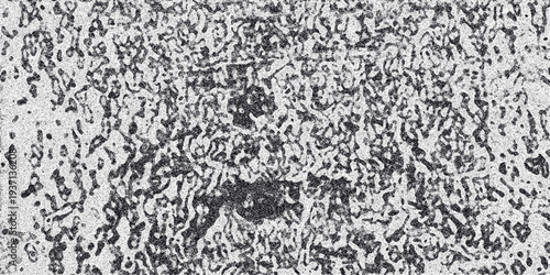 Abstract monochrome textured background with organic cellular patterns and grainy noise effect creating a complex organic surface resembling microscopic structures or weathered stone