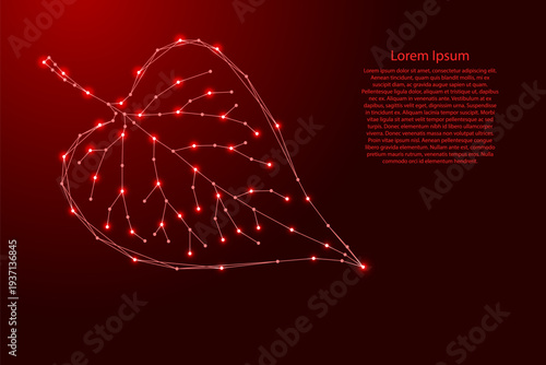 plant leaf from futuristic polygonal red lines and glowing stars for banner, poster, greeting card