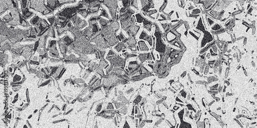 Detailed abstract monochrome background with interconnected geometric and organic shapes, exhibiting a noisy texture and a sense of fractured crystalline or biological structures
