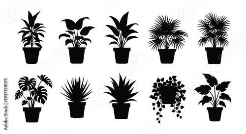 A collection of various potted indoor plants depicted as black silhouettes on a white background